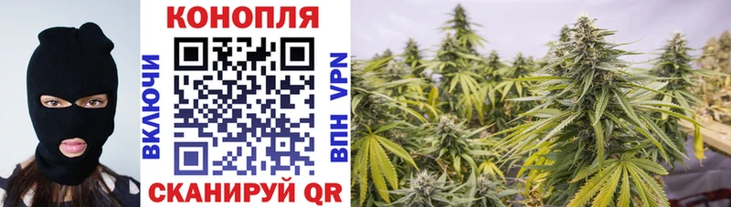 Конопля план  Арск 